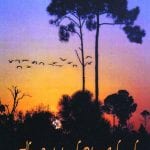 article image - 